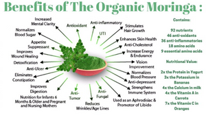 Organic Moringa Powder